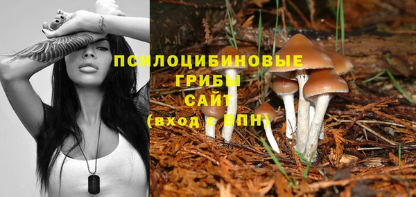 ALPHA PVP Абаза