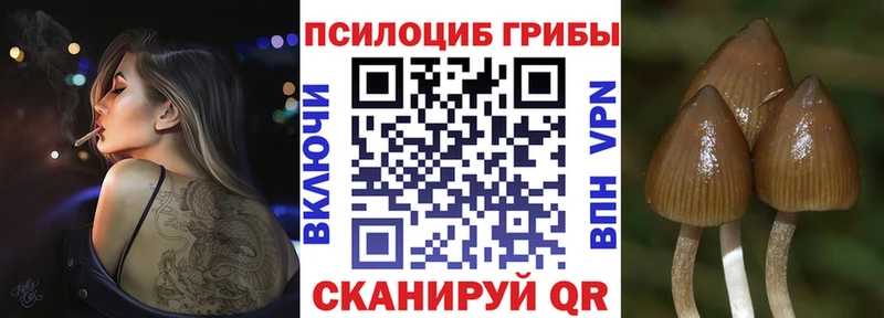 Псилоцибиновые грибы Magic Shrooms  Ермолино 